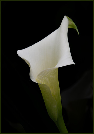 Unfurling