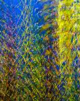 Electric Botanica