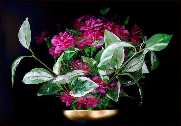 Flowers versus Vines