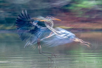 Ghost Flight