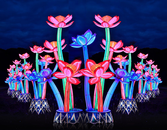 Neon Blooms