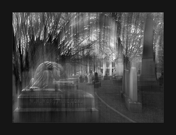 A Mothers Grief