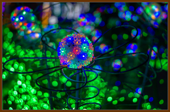 Digital Bloom
