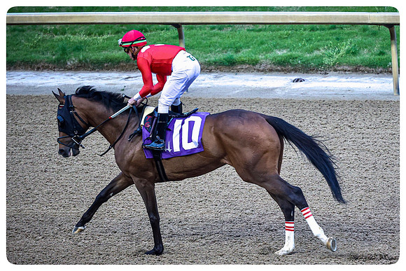 Jockey