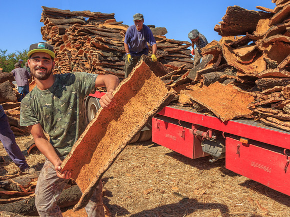 Loading Cork