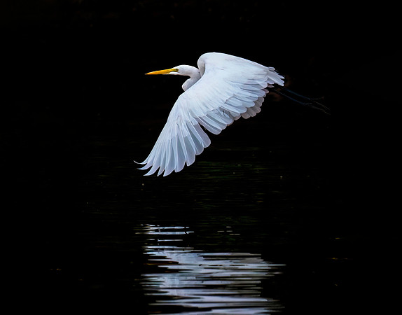 Ghost Flight