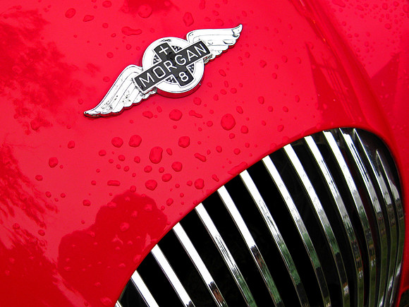 Wet Red Morgan