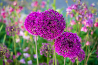 Flowerworks