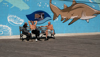 Daily Meeting