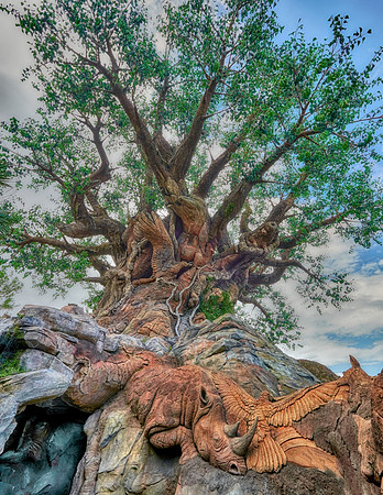 Tree Of Life