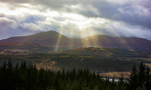 Sun's Rays