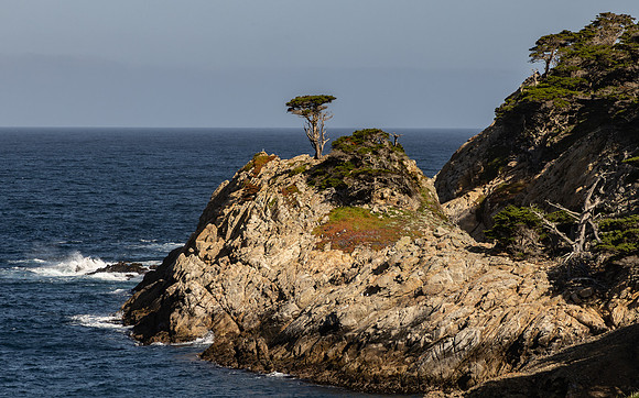 Pt. Lobos