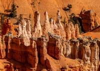 Bryce Hoodoos