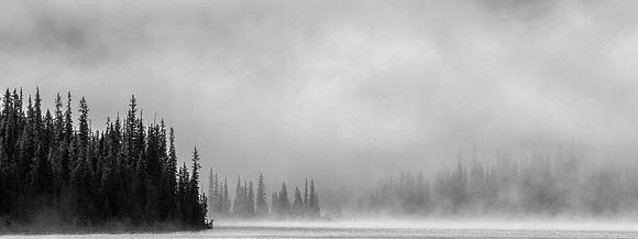 Veiled Whispers
