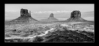 Arid Elegance