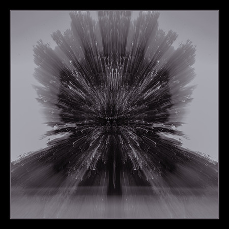 Fission