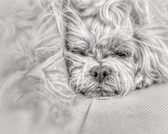 Rest and Reflection