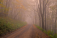 Creepy road disappears