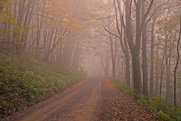 Creepy road disappears
