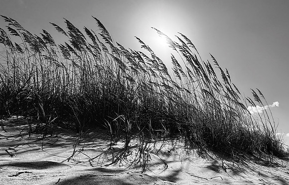 Patterns in the Wind