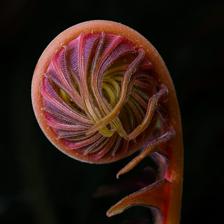 Unraveling