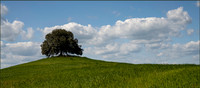 Hilltop Serenity