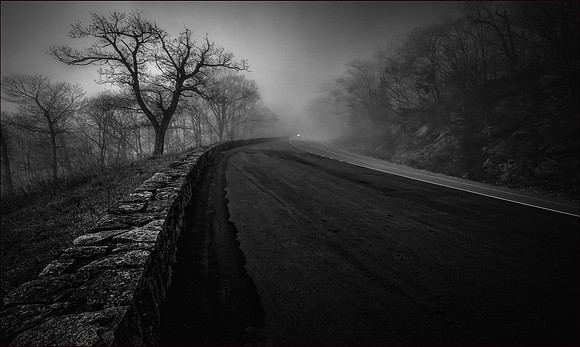 foggy drive