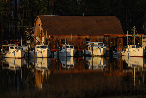 Docked at the Foot of the Bay
