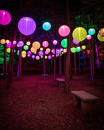 Garden Glow Lanterns