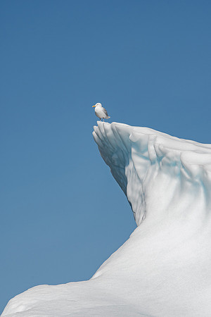 On the Edge