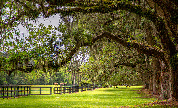 Southern Living