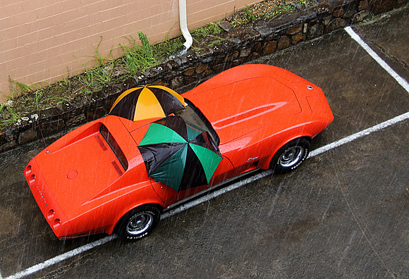 Stingray-Protection