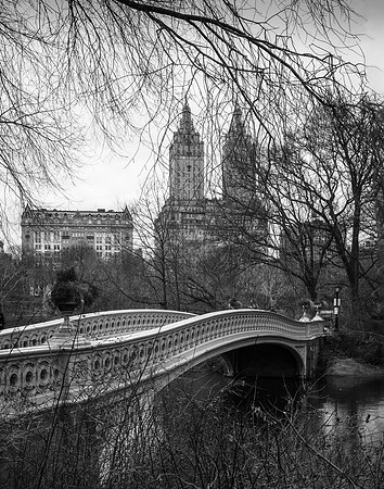 Winter, the Dakota from Central Park