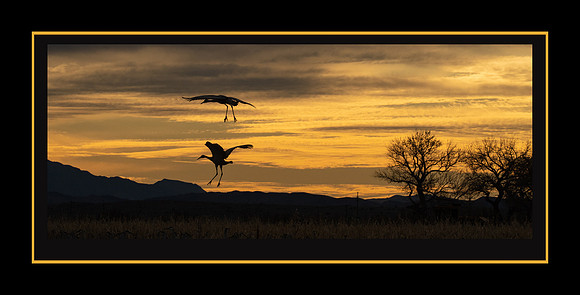 Landing