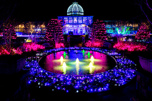 Ginter Wonderland