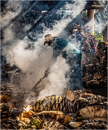 Making Mezcal