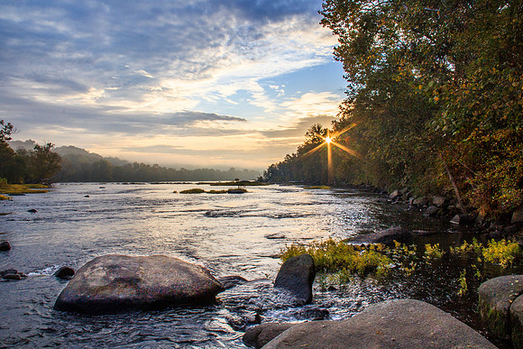 Morning on the River