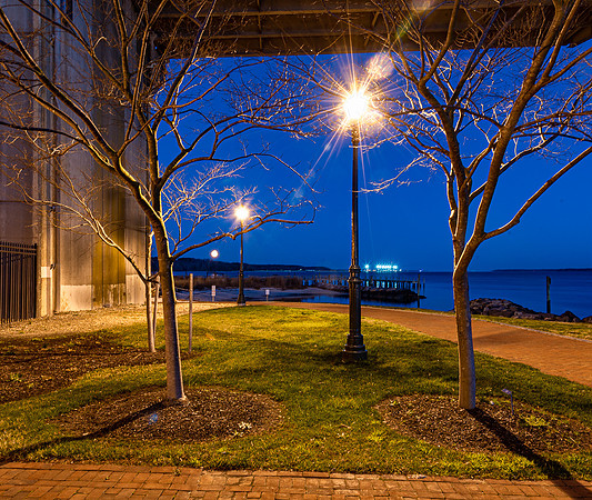 Night Lights