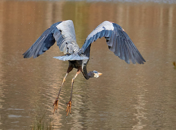 Take Off