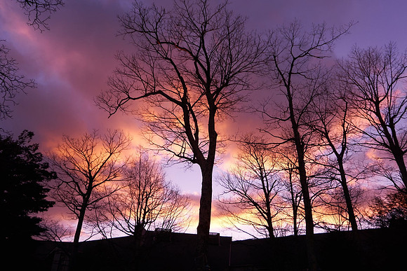 Winter Evening