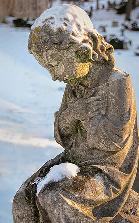 Cold and Alone