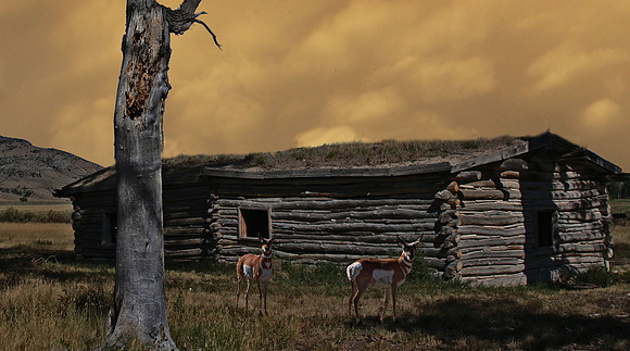 Prairie Cabin