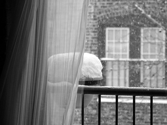 Snowed In
