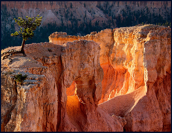 Morning at Bryce Canyon