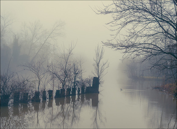 Winter Fog, Kanawha Canal
