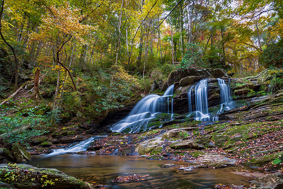 Filmy Fern Falls