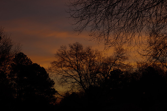 Wistful