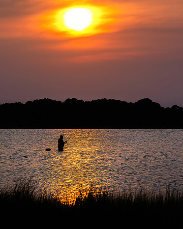 Wading and Waiting