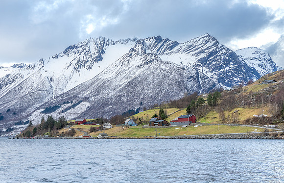 Fjord Solitude