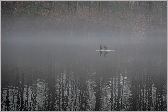 Foggy Romance